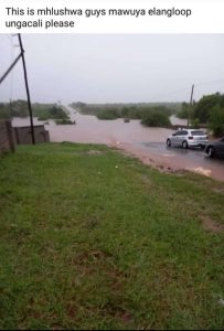 WATCH | Heavy rains flood Nkomazi region