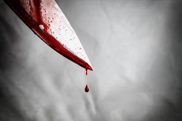 Grade 10 learner stabbed to death